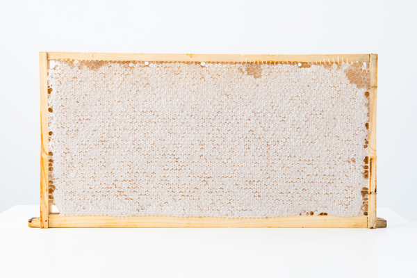 Australian Honeycomb, Brand-new Frames, Hampson Honey