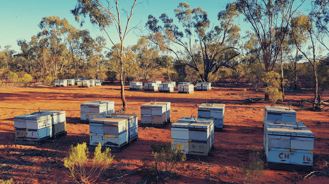 Hampson Honey, From Hive to Home
