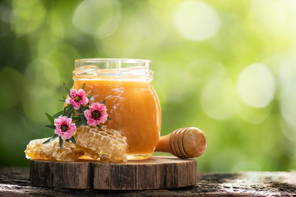 The Complete Guide to Manuka Honey, Hampson Honey