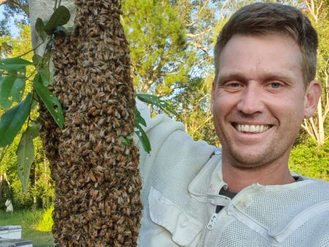 professional swarm removal hero image Australian Bulk Honey Options, Hampson Honey