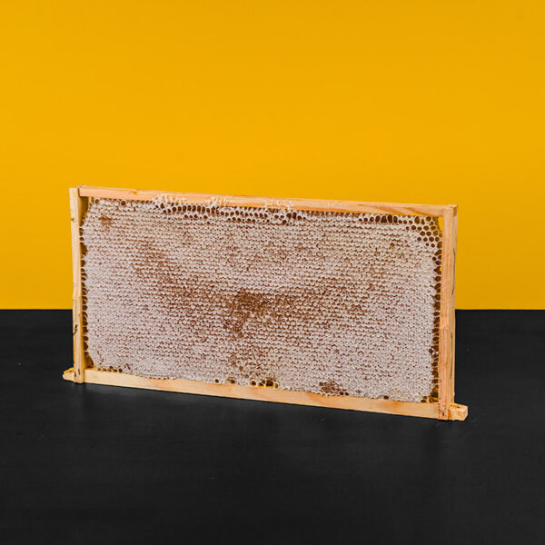 Australian Full Depth Honeycomb Frames (Box of 8)