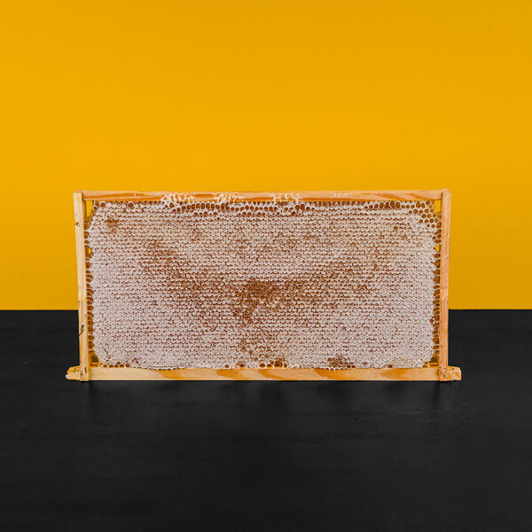 Australian Full Depth Honeycomb Frame