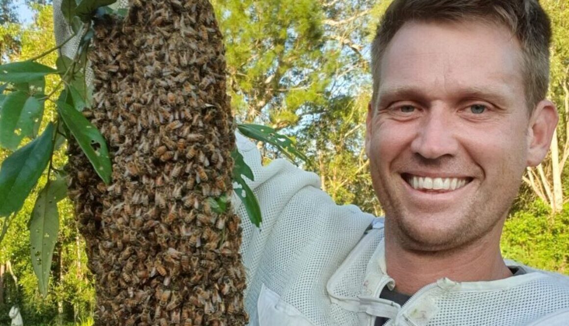 Hampson-Honesy-bee-swarm-removal-service-rotated-e1726115708649