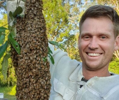 Hampson-Honesy-bee-swarm-removal-service-rotated-e1726115708649