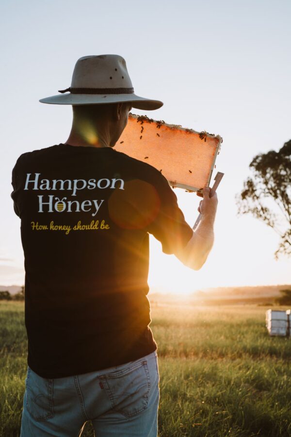 Australian Full Depth Honeycomb Frames (Box of 8) - Image 2