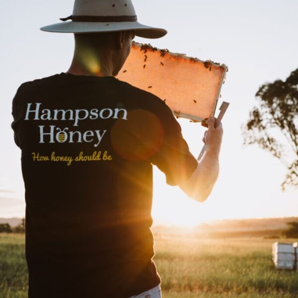 Australian Full Depth Honeycomb Frames (Box of 8)