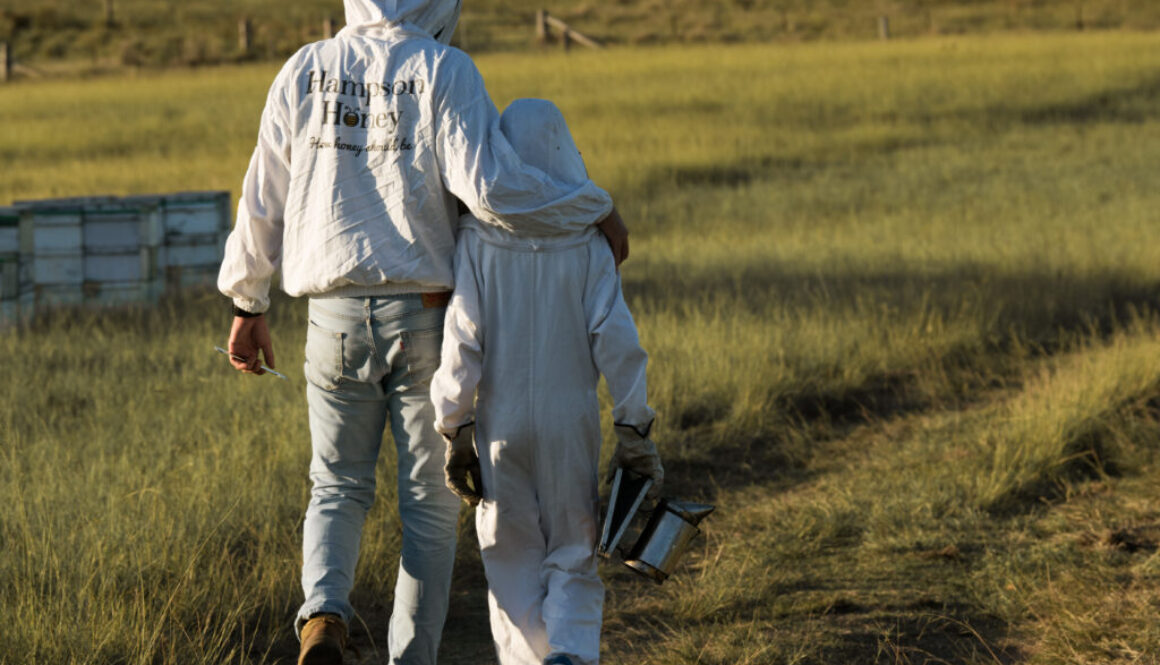 Saving the bees - one swarm at a time